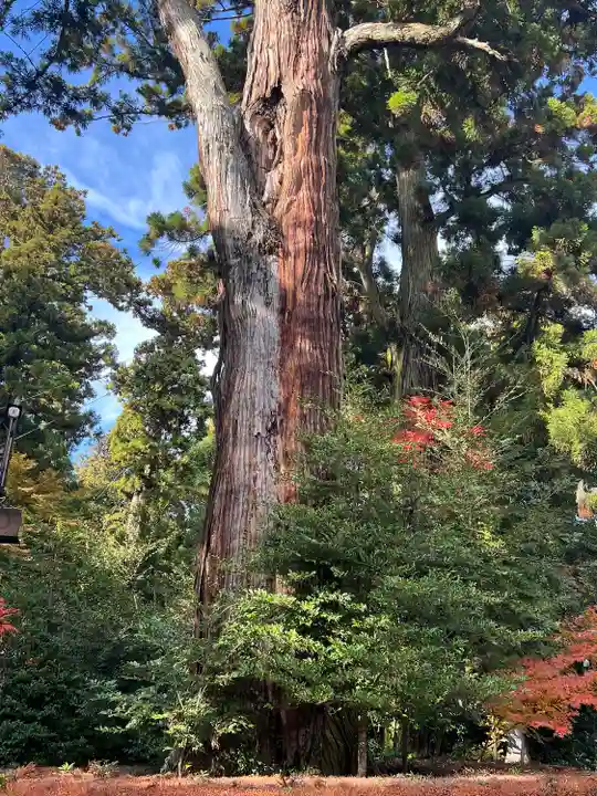 香取神宮(千葉県)