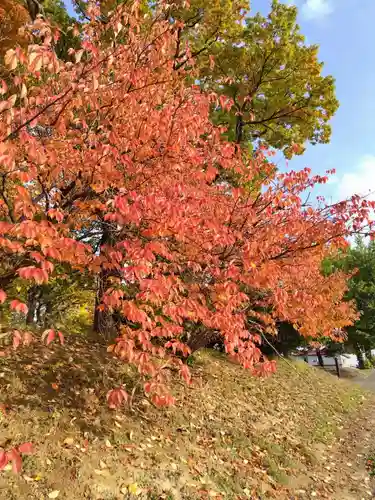 厚別神社(北海道)