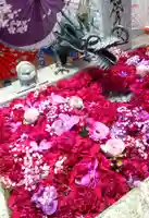 札幌諏訪神社の手水舎