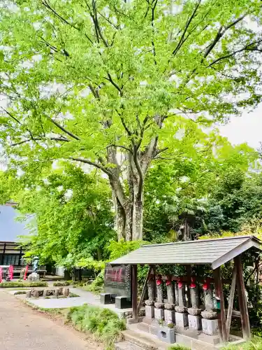 自性院(茨城県)