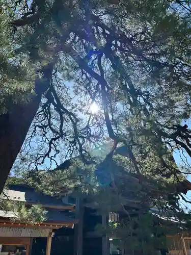 竹駒神社(宮城県)