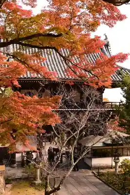 善峯寺(京都府)
