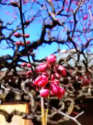 鳳林寺(東京都)