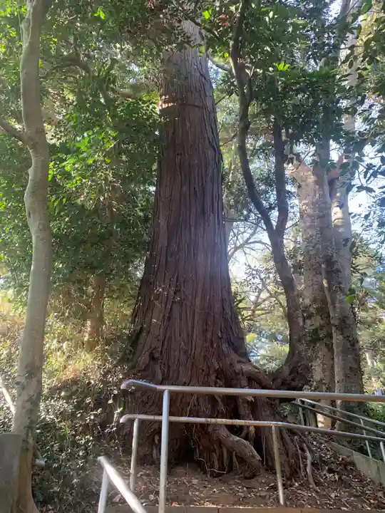 愛宕神社(千葉県)