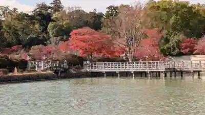長岡天満宮(京都府)