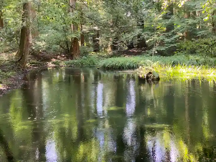 平泉寺白山神社(福井県)