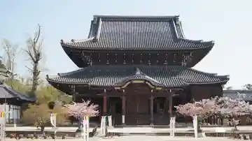 本山専修寺の本殿・本堂