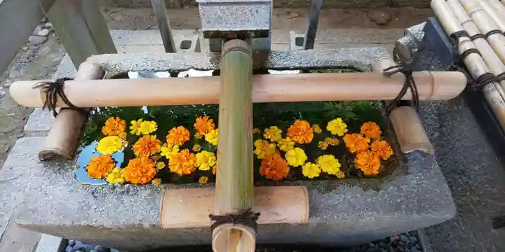 大井神社の手水舎