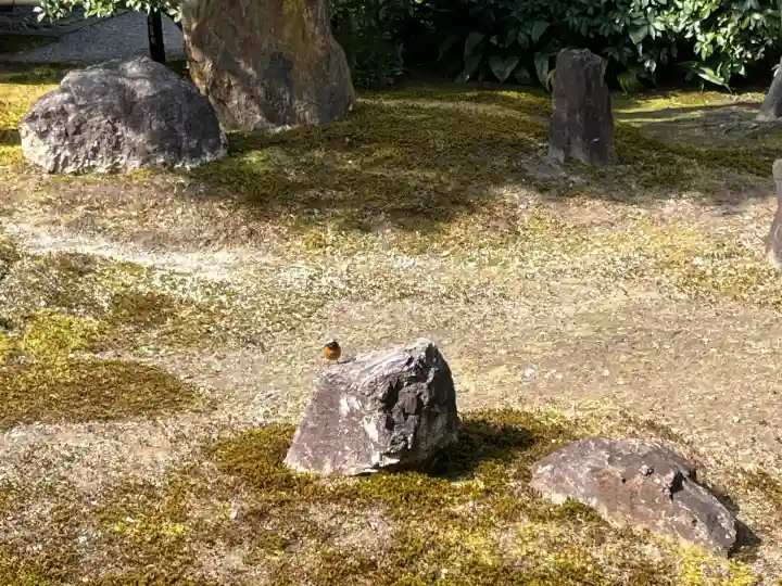 建仁寺(建仁禅寺)(京都府)