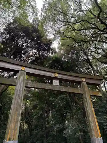 明治神宮(東京都)