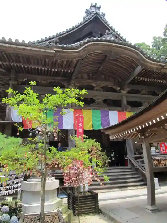 岡寺(龍蓋寺)(奈良県)