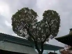 南宮宇佐八幡神社（脇浜神社）(兵庫県)