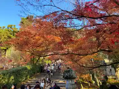 禅林寺(永観堂)(京都府)