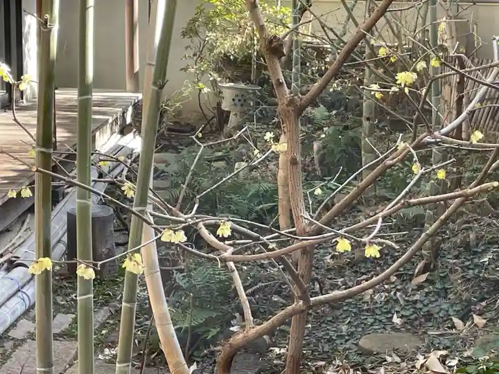 遠照山 光明寺(尼崎大仏)(兵庫県)