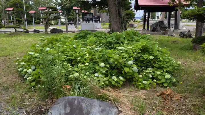 多度志神社の庭園