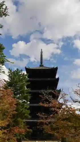 仁和寺の塔