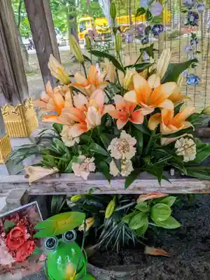 彌彦神社　(伊夜日子神社)の手水舎