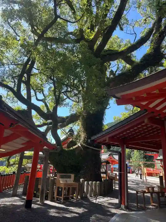 熊野那智大社(和歌山県)