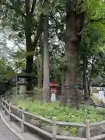 喜多院(埼玉県)