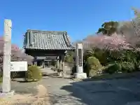 大巌院の{uncategorized: "未分類", other: "その他", undefined: "問題あり", building: "その他建物", grave: "お墓", sacred_gate: "鳥居", guardian: "狛犬", statue: "像", buddha: "仏像", history: "歴史", nature: "自然", garden: "庭園", animal: "動物", pagoda: "塔", temizu: "手水舎", mountain_gate: "山門・神門", sanctuary: "本殿・本堂", subordinate: "末社・摂社", art: "芸術", scenery: "景色", jizo: "地蔵", ema: "絵馬", goshuin: "御朱印", omikuji: "おみくじ", items: "授与品その他", amulet: "お守り", goshuincho: "御朱印帳", eats: "食事", festival: "お祭り", votive_dance: "神楽", shichigosan: "七五三参", wedding: "結婚式", experience: "体験その他", initially: "初詣", around: "周辺", anti_infection: "感染症対策"}