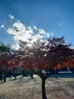 京都乃木神社(京都府)