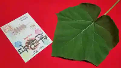 津観音(三重県)