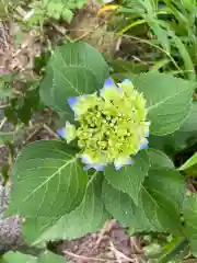 大生郷天満宮の自然