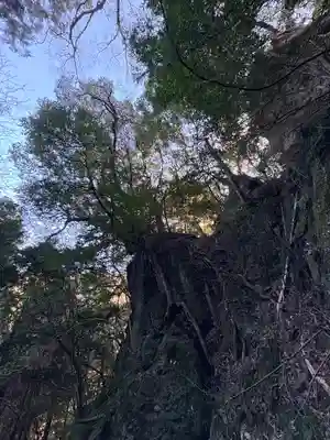 韓竈神社(島根県)