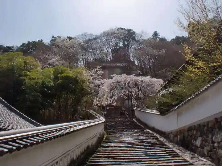 長谷寺のその他建物