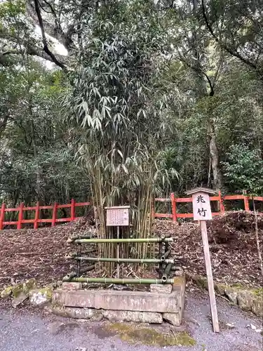 宇佐神宮の庭園