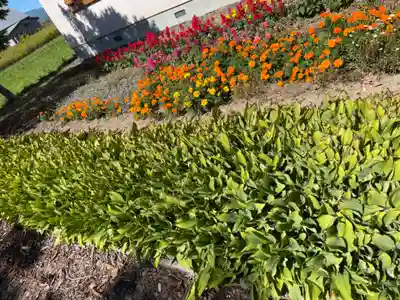 瑞穂地神宮(北海道)