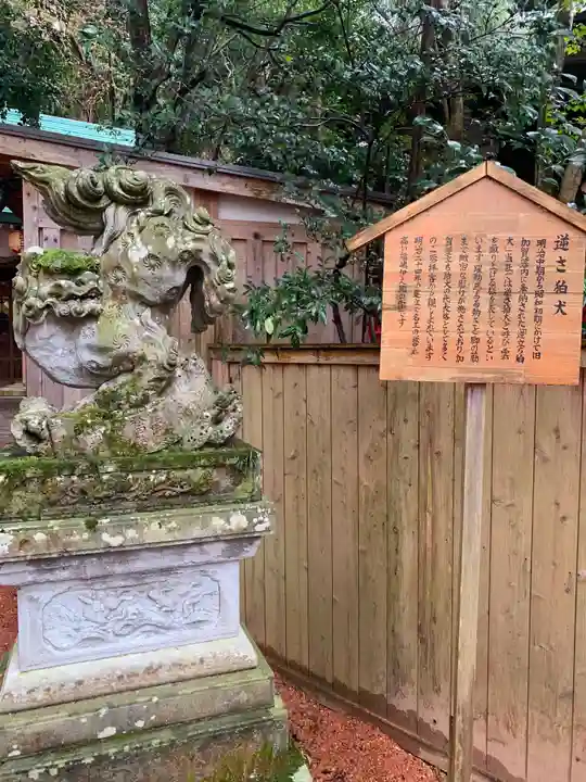 廣坂稲荷神社の狛犬