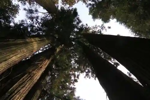 鹿島大神宮の自然