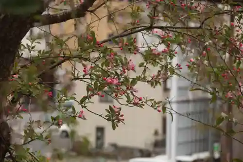 愛宕神社の庭園
