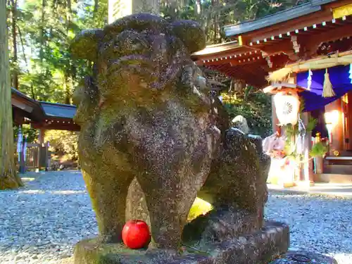 鳩ヶ嶺八幡宮の狛犬