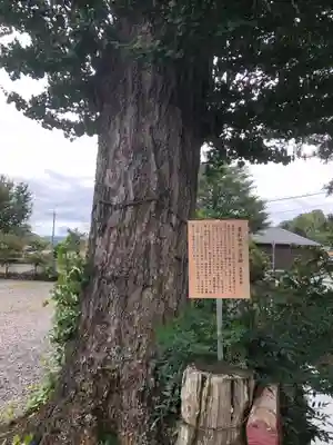 佐佐婆神社(兵庫県)