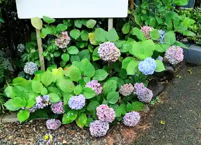 筑土八幡神社(東京都)