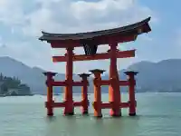 厳島神社(広島県)