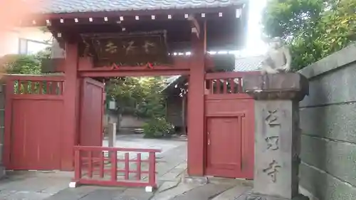 松源寺の山門