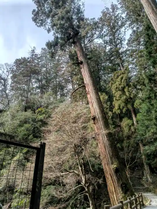 室生寺の{uncategorized: "未分類", other: "その他", undefined: "問題あり", building: "その他建物", grave: "お墓", sacred_gate: "鳥居", guardian: "狛犬", statue: "像", buddha: "仏像", history: "歴史", nature: "自然", garden: "庭園", animal: "動物", pagoda: "塔", temizu: "手水舎", mountain_gate: "山門・神門", sanctuary: "本殿・本堂", subordinate: "末社・摂社", art: "芸術", scenery: "景色", jizo: "地蔵", ema: "絵馬", goshuin: "御朱印", omikuji: "おみくじ", items: "授与品その他", amulet: "お守り", goshuincho: "御朱印帳", eats: "食事", festival: "お祭り", votive_dance: "神楽", shichigosan: "七五三参", wedding: "結婚式", experience: "体験その他", initially: "初詣", around: "周辺", anti_infection: "感染症対策"}