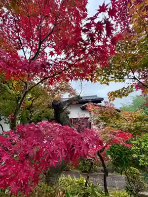 曇華院門跡(京都府)