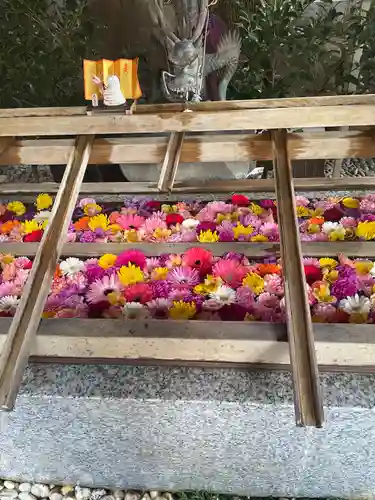 東京大神宮(東京都)