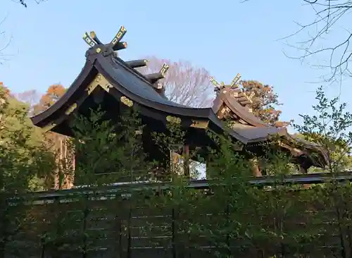 鷲宮神社の本殿