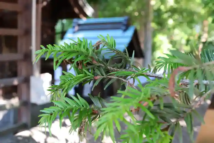 三津厳島神社の自然