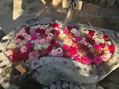 浄誓寺の{uncategorized: "未分類", other: "その他", undefined: "問題あり", building: "その他建物", grave: "お墓", sacred_gate: "鳥居", guardian: "狛犬", statue: "像", buddha: "仏像", history: "歴史", nature: "自然", garden: "庭園", animal: "動物", pagoda: "塔", temizu: "手水舎", mountain_gate: "山門・神門", sanctuary: "本殿・本堂", subordinate: "末社・摂社", art: "芸術", scenery: "景色", jizo: "地蔵", ema: "絵馬", goshuin: "御朱印", omikuji: "おみくじ", items: "授与品その他", amulet: "お守り", goshuincho: "御朱印帳", eats: "食事", festival: "お祭り", votive_dance: "神楽", shichigosan: "七五三参", wedding: "結婚式", experience: "体験その他", initially: "初詣", around: "周辺", anti_infection: "感染症対策"}