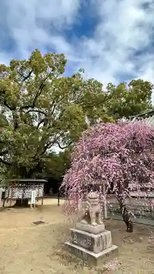 屯倉神社(大阪府)
