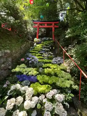 柳谷観音　楊谷寺(京都府)