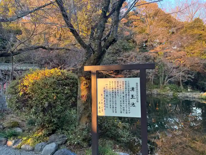 富士山本宮浅間大社(静岡県)
