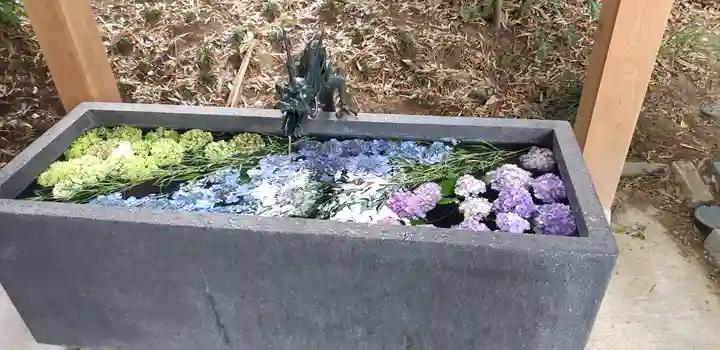 下野 星宮神社(栃木県)