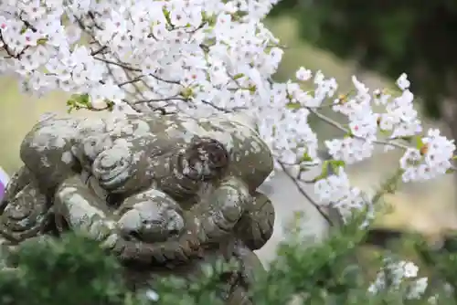 高司神社〜むすびの神の鎮まる社〜の狛犬